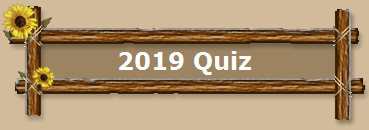 2019 Quiz