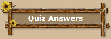Quiz Answers
