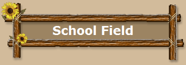 School Field